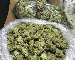 Buy weed in Wagga Wagga, Australia