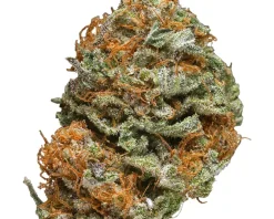 Buy weed in Maitland, Australia