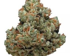Chemdawg Strain
