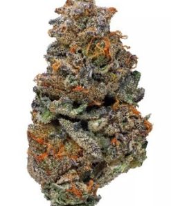 Forbidden Fruit Strain