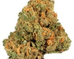 Jack Herer Strain