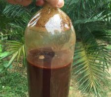 AYAHUASCA TEA FOR SALE