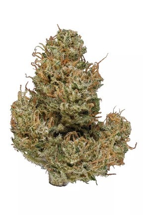 cannatonic.jpg Cannatonic Strain