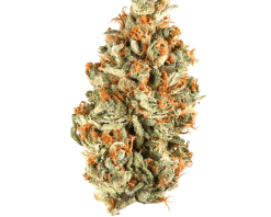 Rainbow Belts Strain