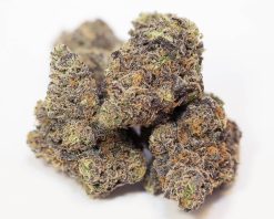 Buy weed in Wollongong, Australia