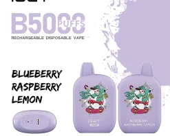 Blueberry Raspberry Lemon – IGET B5000