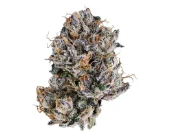 White-Cherry-Gelato-Main-Nug