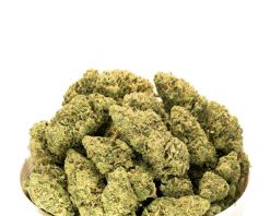 Buy weed in Tweed Heads, Australia