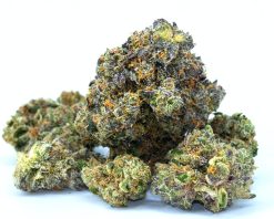 Blue Dream Premium GLO Flower