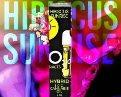 Hibiscus Sunrise