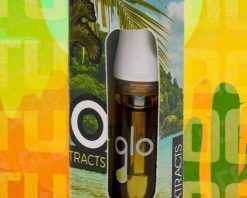 CACTUS COOLER GLO CARTS FLAVOR