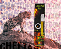 Cheetah Piss