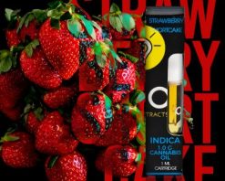 Strawberry Shortcake